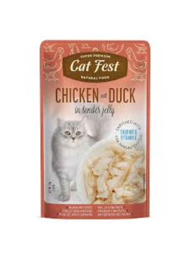 Cat Fest Chicken with Duck in Tender Jelly 70g Natural Wet Cat Food Pouch for Adult Cats From Varmacy